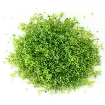 923a Custom Scale Model Train Layouts Supplies Mesopore Sponge Grass Meal