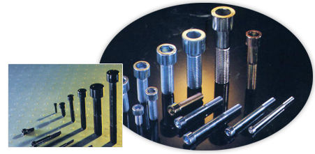 Hex Socket Head Cap Screws