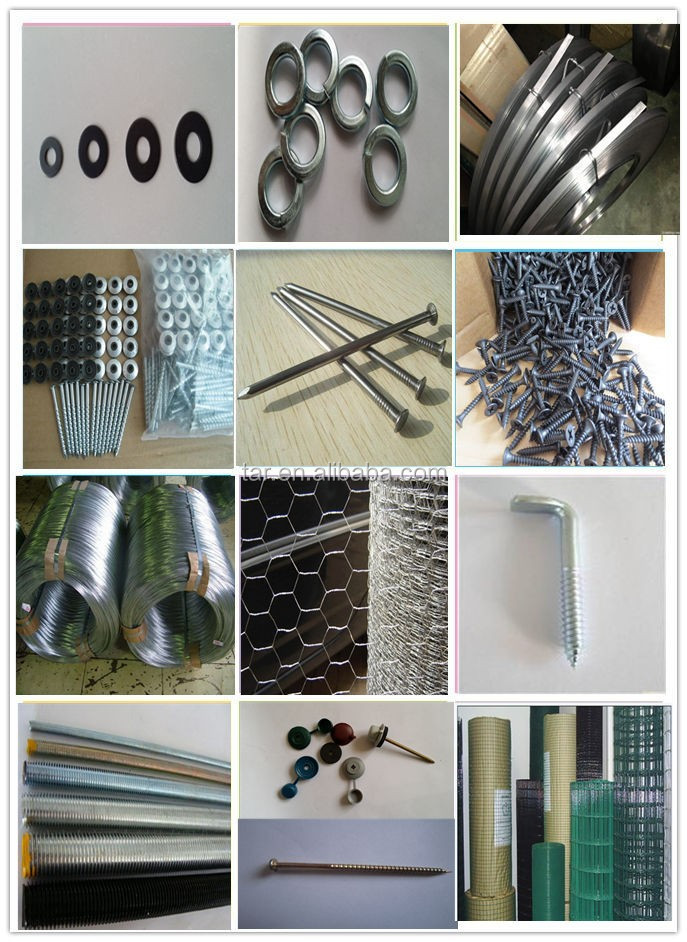 the best manufacturer in china hardened steel concrete nails