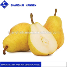 Fresh Pear fruit export import agent shanghai