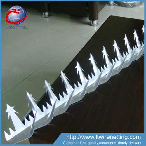 Competitive price high quality wall spikes,stop bird wall spikes