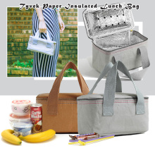 Tyvek Paper 1070D Waterproof insulated cooler boxes ice bag