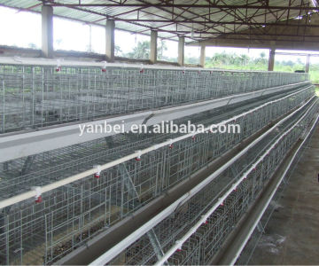 9LDT series A-type Layer Coop for Chicken Layer Farm