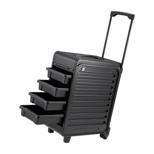 ABS Trolley &amp; Beauty Case