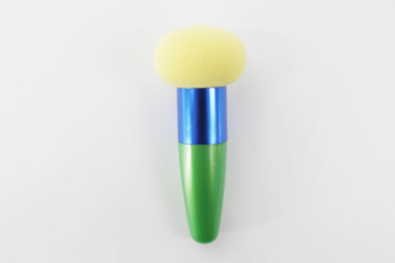 Sponge brush