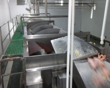 Poultry processing equipment screw chiller