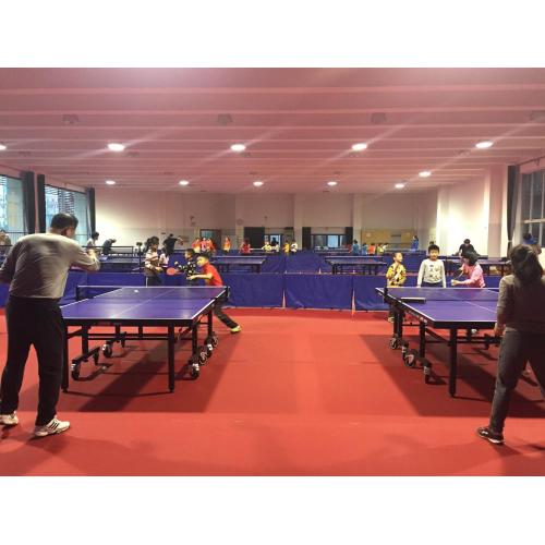 Pisos esportivos de PVC para tênis de mesa, certificação ITTF