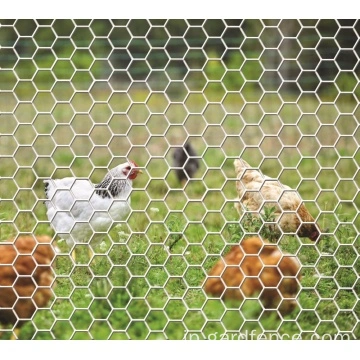 中国の六角形の金網 金網 金網メーカーとサプライヤー