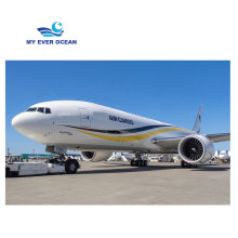 Air Cargo and Shipping Services: FedEx, UPS, USPS, DHL to USA, Canada