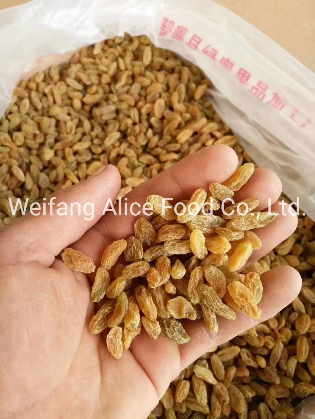 Good Price Natural Drying Good Price Yellow Raisin Golden Raisin