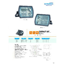 Optional Double-end, Single-end MH/SON 150W Floodlight