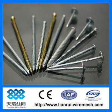 nail wire/ nail