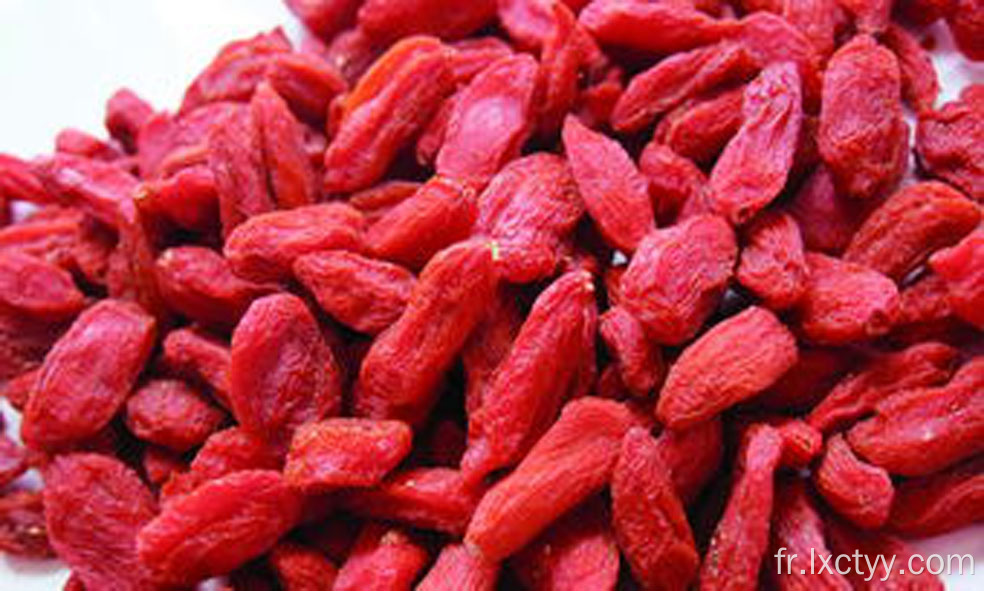 baies de goji lyophilisées