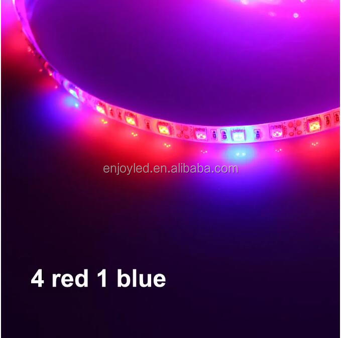 24 volt led grow strip light led strip hydroponic full spectrum led grow light