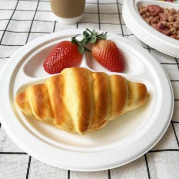 Sugarcane bagasse plate 10 inch 3 div-plate