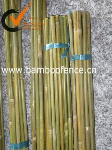 natural Safe bamboo stake