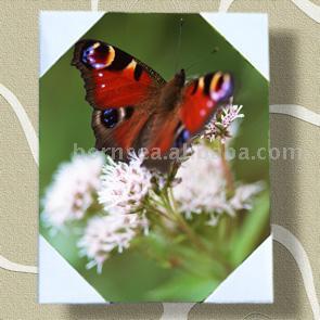 photo transfer printed canvas