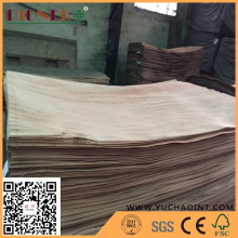 B Grade Natural Gurjan/ Keruing Veneer as Plywood Face/Back