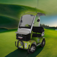 Four Wheel Neighborhood electric car