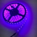 Гадаа хэрэглээний ус нэвтрүүлдэггүй Flef RGB RGB SMD LED зурвас