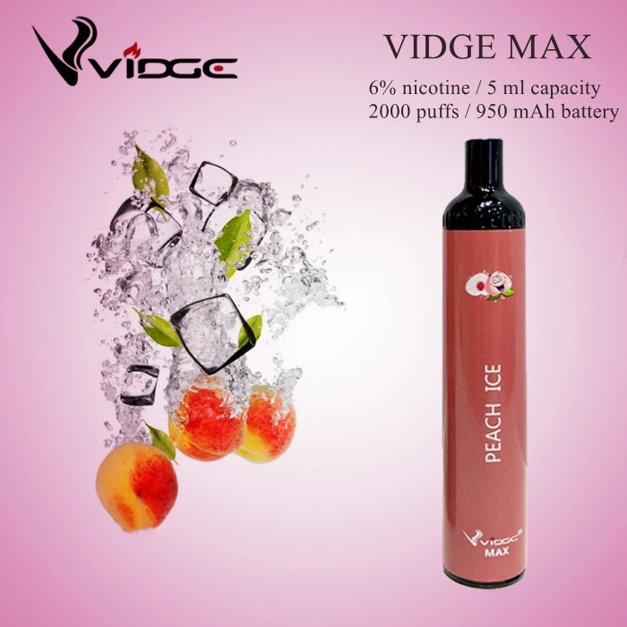 Custom Disposable Vidge Max Vape Pen Disposable Vape with 10 Different Flavors Bang XXL Puff Bar Disposable Electronic Cigarettes