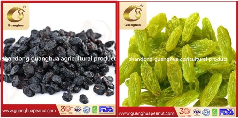 Black/Red/Brown/Green/Yellow/Golden Raisin Chinese New Crop Natural