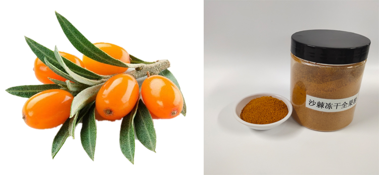 factory supply high quality sea-buckthorn freeze-dried powder sea Buckthorn Fruit Juice Powder