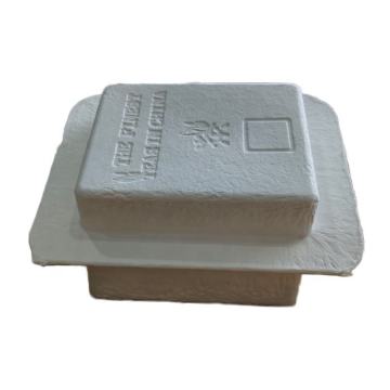 Biodegradable Paper Pulp Molded Packaging Box