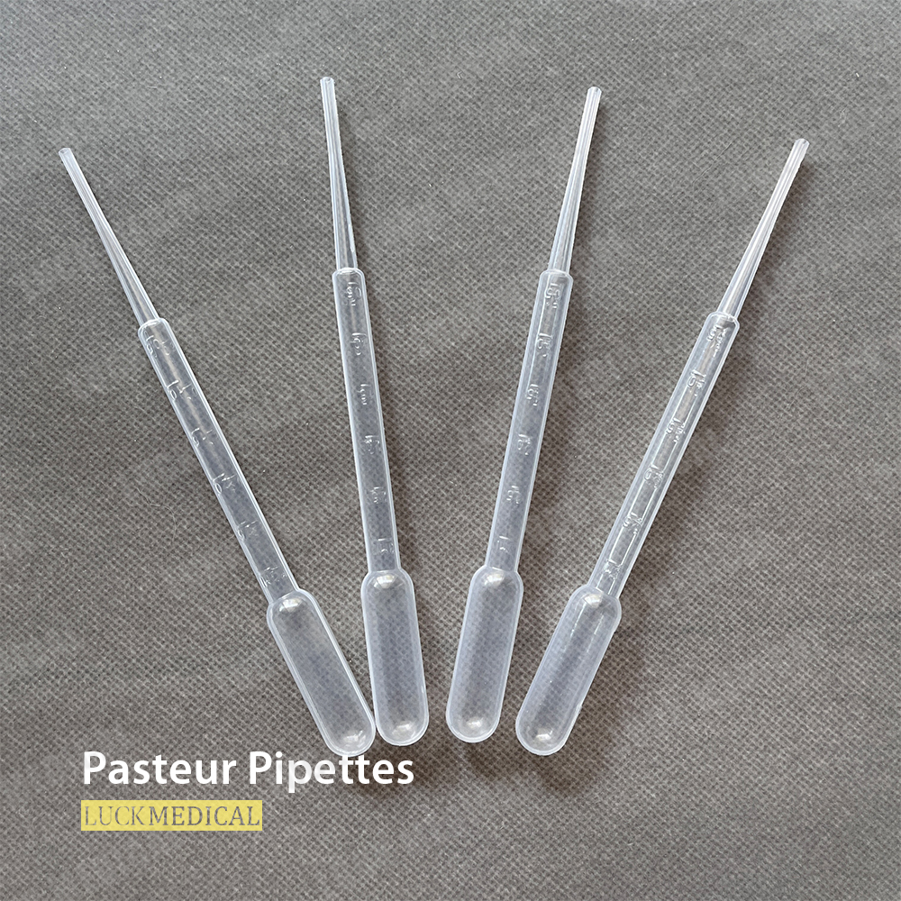 Pasteur pipeti Güney Afrika&#39;ya 3 ml ihracat