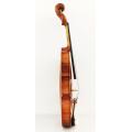 Ziziphus Jujube Fitted Violin