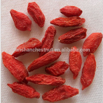 Chinese Organic Goji Berry -380