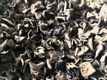 Packaged black fungus