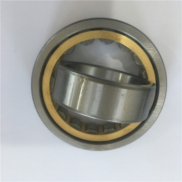 mini jet engines bearing cylindrical rollers bearings N202