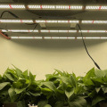 Plantas de interior planta de vegetal lámparas de cultivo 400W