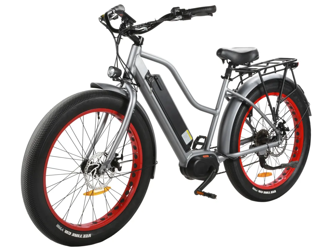 MID Motor Drive Mountain Electric Bike Pedal Assist