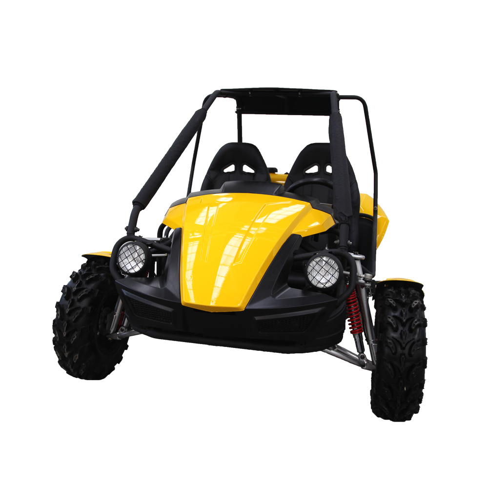 go kart 250cc dune buggy للبيع