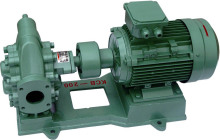 High Quality with Ex Motor Iron Gear Pump