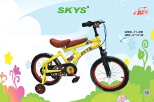 Mini Children Bike/Kids Bicycle /Lovely Bike (TT-008Y)