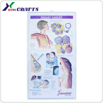 2014 promotional 3d embossed medical chart