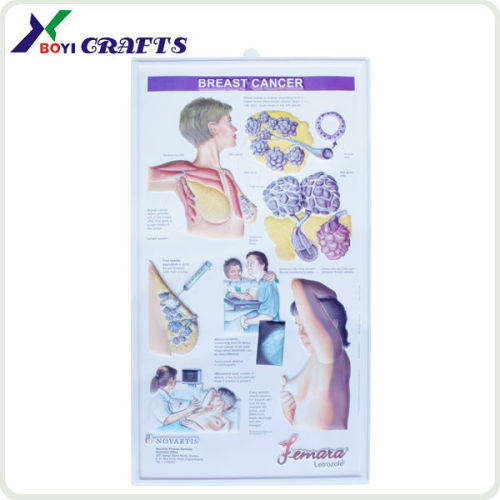 2014 promotional 3d embossed medical chart