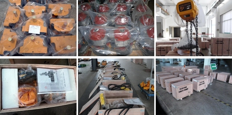 Construction Material Lifting Equipment 10ton Electric Chain Hoist with Cheap Price