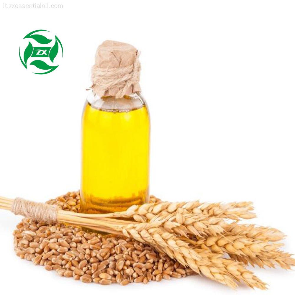 Olio di germe di grano biologico di alta qualità in vendita