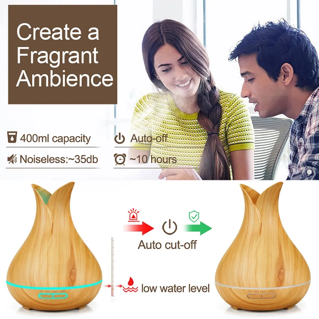 Humidifier Air Purifier LED Night Light Aroma Diffuser