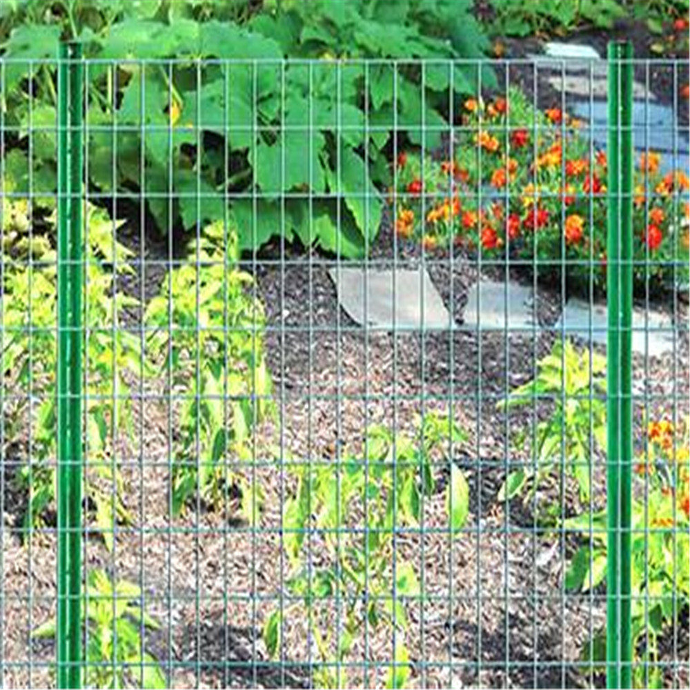 Wire Mesh Garden Fencing