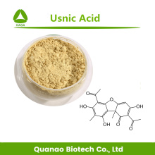 Lichen usnea extracto ácido usnico 98% polvo HPLC