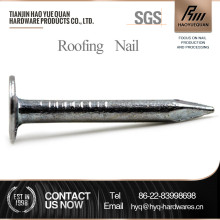 wholesale the flat clout nail from china clout nail factory