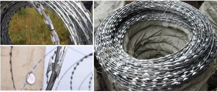 Factory Directly Selling Bto 22, Bto 10, Cbt 60 Razor Wire