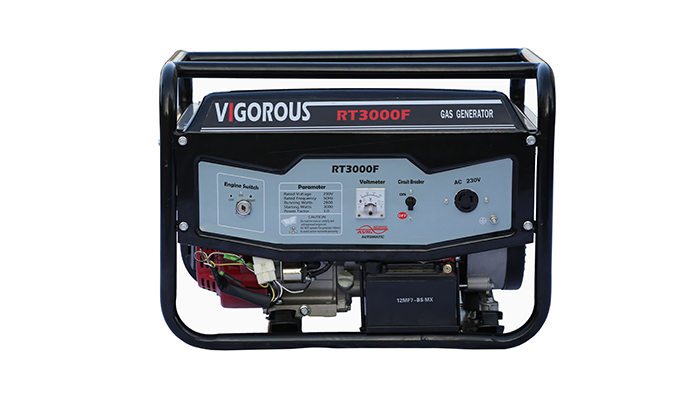 3KW LPG NG Portable Generator