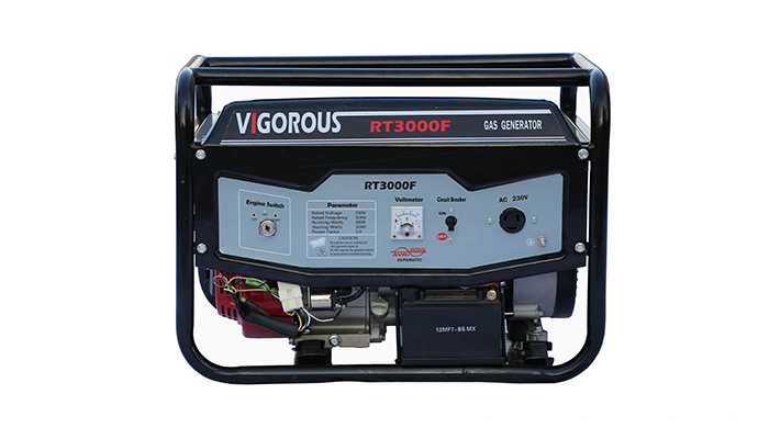 2KW Portable Nautral Gas Powered Generator 