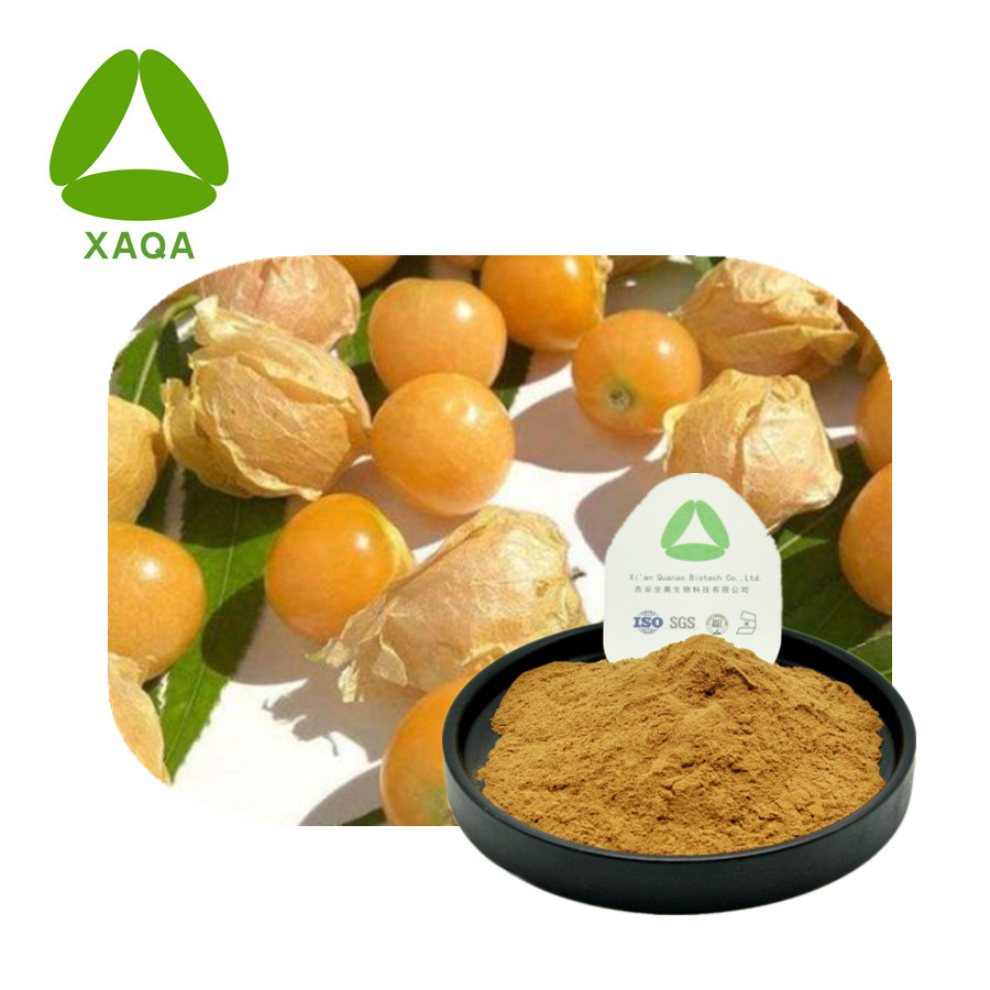 Фрукты фруктов Physalis Alkekengi Powder